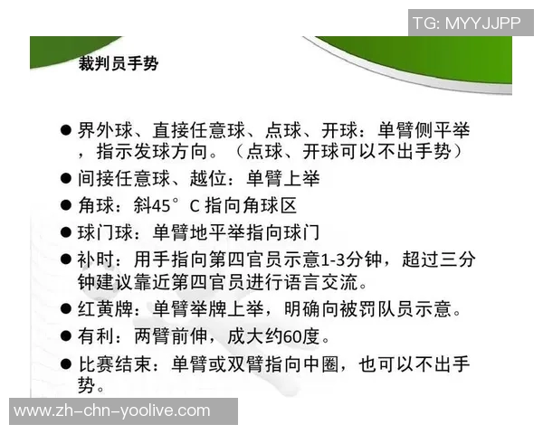 足球比赛裁判手势解析与应用技巧全面指南