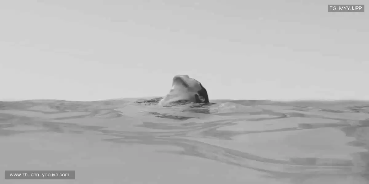 🚀 点击即达,开启你的体育梦想之旅!✨